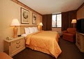 Comfort Inn Downtown image 4