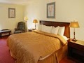 Comfort Inn image 6