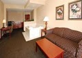 Comfort Suites Lakeside Resort image 7