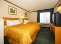 Comfort Suites image 8