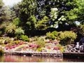 Crystal Springs Rhododendron Garden image 3
