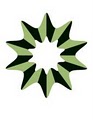 Direct Insurance Service of Minnesota logo