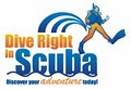 Dive Right In Scuba image 2