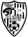 Elk Grove Soccer EGAFC - WBSA image 3