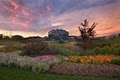 Frederik Meijer Gardens & Sculpture Park image 1