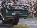 Horgan Tree Experts image 6