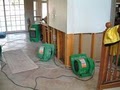 Indoor-Restore Mold Testing and Inspection Services image 5