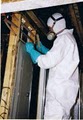 Indoor-Restore Mold Testing and Inspection Services image 7