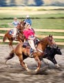 Ingela Hoerler Equestrian Training image 1