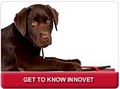 InnoVet logo