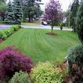 Jesse's Landscaping-Landscape Contractor, Lawn Care Service, Tree Service image 7