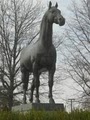 Kentucky Horse Park image 2