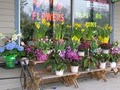 Kevin's Petal Cart Florist image 6