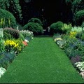 Memo's Gardening Services in Santa Barbara, Lawn Maintenance, Gardening Services image 4