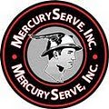 MercuryServe, Inc. image 1