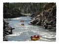 Montana River Guides image 1