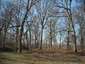 Mounds State Park image 1