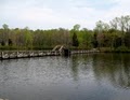 Natchez Trace State Park and Frst image 4