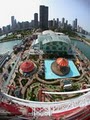 Navy Pier image 1