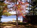 Nesting Loon Cabins image 5