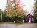 Nesting Loon Cabins image 6