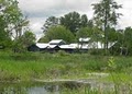 Nisqually National Wildlife Refuge image 4