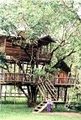 Out'n'About Treehouse Treesort LLC image 2