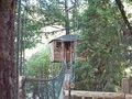 Out'n'About Treehouse Treesort LLC image 7