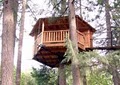 Out'n'About Treehouse Treesort LLC image 8