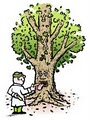 PLANT  Rx  Tree Service           **Tree Doctor** image 1