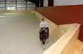Pegasus Training and Equine Rehabilitation Center image 5
