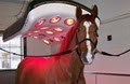 Pegasus Training and Equine Rehabilitation Center image 6