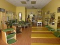 Pilates Space Florida- Boca Raton image 6