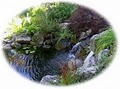 Pond Design by M. D. Vaden logo