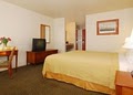 Quality Inn image 4