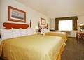 Quality Inn image 8