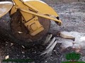 Reube's Tree Service image 2