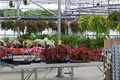Rosemeade Market & Greenhouse image 2
