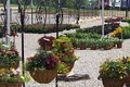 Rosemeade Market & Greenhouse image 4