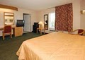 Sleep Inn Sea Tac Airport image 5