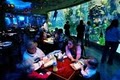 The Aquarium - Nashville image 1