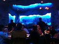 The Aquarium - Nashville image 4