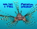 The Deep logo