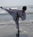 The Karate Dojo logo