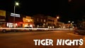 Tiger Nights image 2