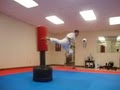 Traditional Karate Academy image 1