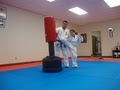 Traditional Karate Academy image 3