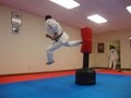 Traditional Karate Academy image 4