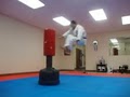 Traditional Karate Academy image 5