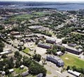 University of New Haven image 5